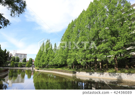 薩塔克公園 42436089