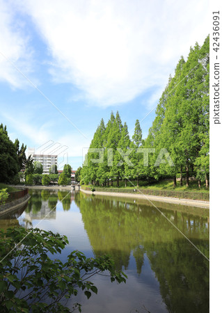 薩塔克公園 42436091