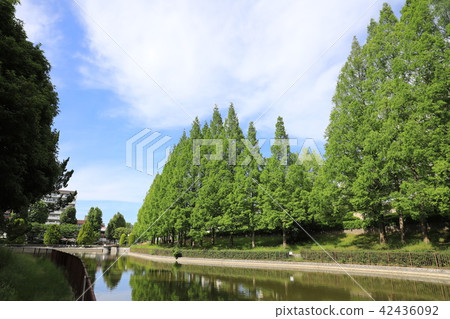 薩塔克公園 42436092