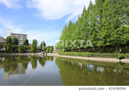 薩塔克公園 42436094