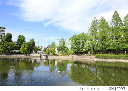 薩塔克公園 42436095