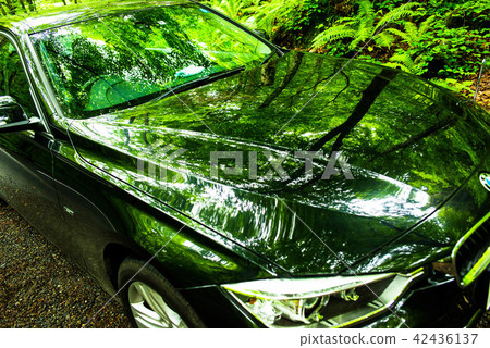 Automobile Automobile 42436137