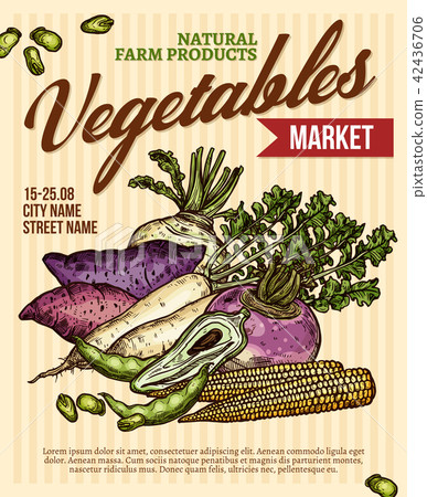 Vegetable market poster with veggies Vegetable market poster with veggies 42436706