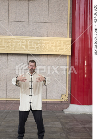 修習太極拳的武術家 42436920