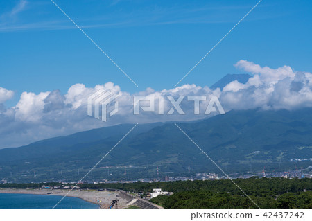 (Numazu City, Shizuoka Prefecture) Large Scale Observation from the gate "Gyuu" Mt. Fuji 42437242