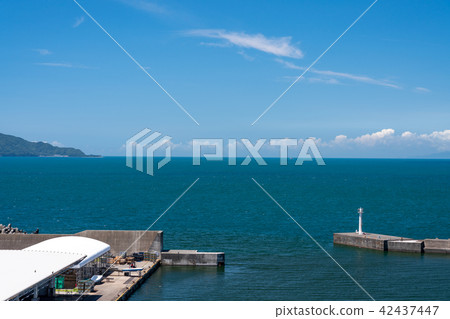 (Numazu city, Shizuoka prefecture) Suruga Bay seen from the forest corridor of the observation flood gate "Gyuu" 42437447