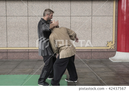 雙人練習太極擒拿術 雙人練習太極擒拿術 42437567