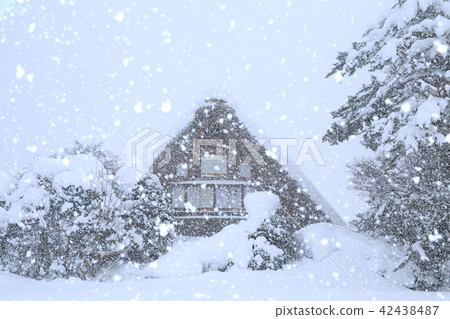 Shirakawago在冬天聚集在公主雪場面 42438487