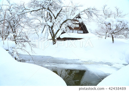 Shirakawago in winter Gathering in the princess Snow scene 42438489