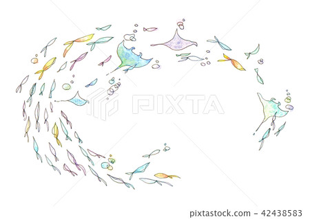 Manta and fish frame 42438583