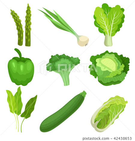 Flat vector set of fresh green garden vegetables. Ingredients for vegetarian salad. Natural and Flat vector set of fresh green garden vegetables. Ingredients for vegetarian salad. Natural and 42438653