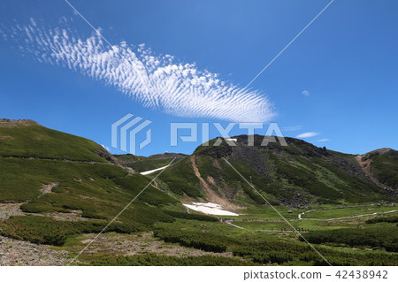 Norikura舞蹈Tatamiaira的夏天 42438942