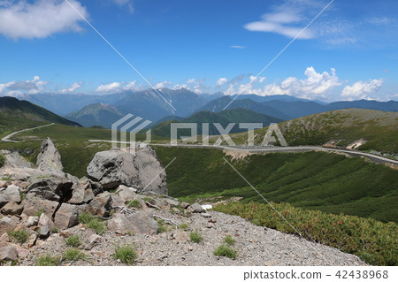 Summer of Norikura dance Tatamiaira 42438968