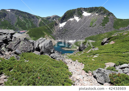 Summer of Norikura dance Tatamiaira 42438989