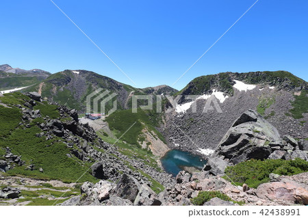 Norikura舞蹈Tatamiaira的夏天 42438991