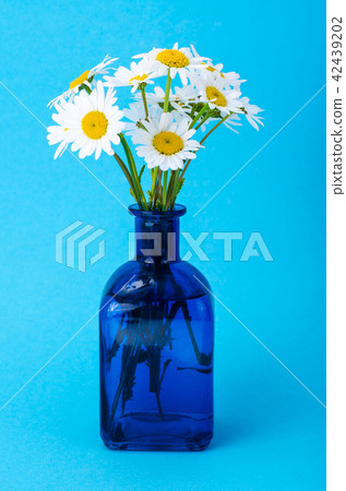 Small bouquet of white daisies in vase Small bouquet of white daisies in vase 42439202