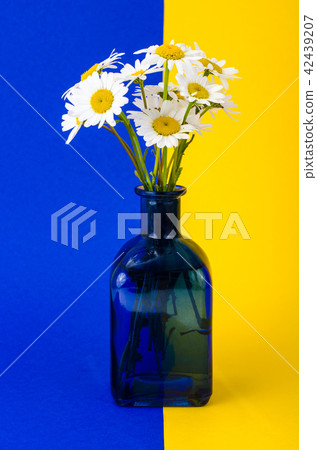 Small bouquet of white daisies in vase Small bouquet of white daisies in vase 42439207