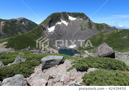 Summer of Norikura dance Tatamiaira 42439450