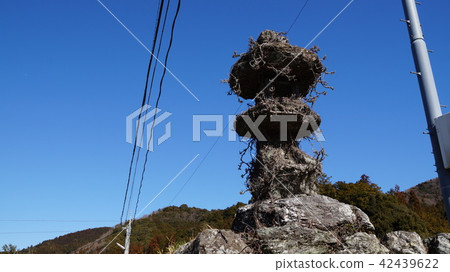 Sakai's Night Light 42439622