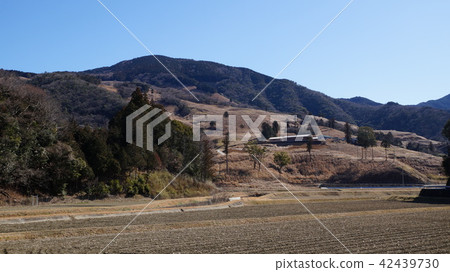 Shinto shrine 42439730