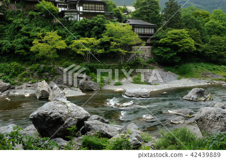 綠色奧多摩 綠色奧多摩 42439889