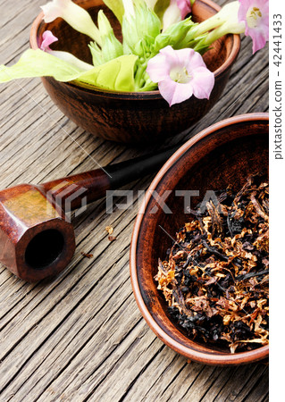 Wooden tobacco pipe Wooden tobacco pipe 42441433