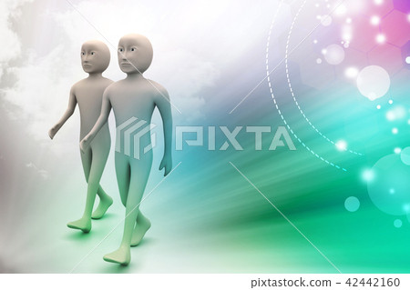 Two friends walk together Two friends walk together 42442160