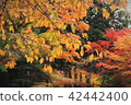 Autumn walking path 42442400