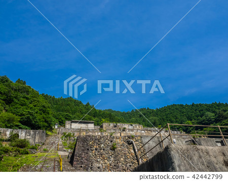 神道農田的痕跡 42442799