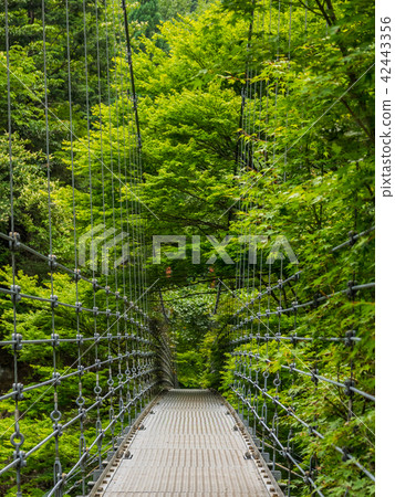 Shiso-shi名字Furuhara Fudo Falls Shiso-shi名字Furuhara Fudo Falls 42443356