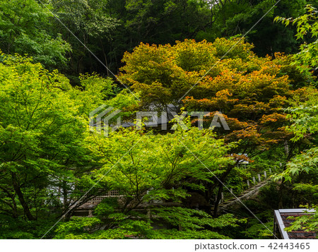 Shiso-shi名字Furuhara Fudo Falls Shiso-shi名字Furuhara Fudo Falls 42443465