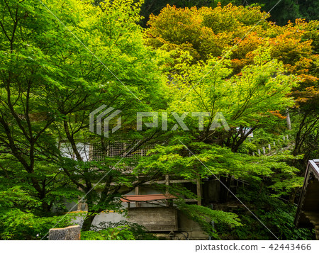 Shiso-shi name Furuhara Fudo Falls Shiso-shi name Furuhara Fudo Falls 42443466