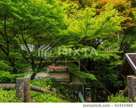 Shiso-shi名字Furuhara Fudo Falls Shiso-shi名字Furuhara Fudo Falls 42443468