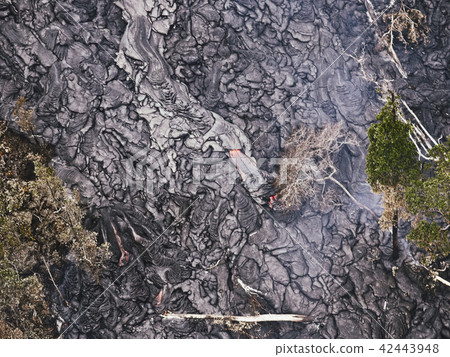 Lava flow at Hawaii Volcano National Park Lava flow at Hawaii Volcano National Park 42443948