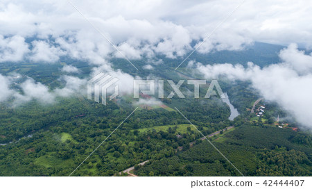 forest and agriculture area in Kanchanaburi 42444407