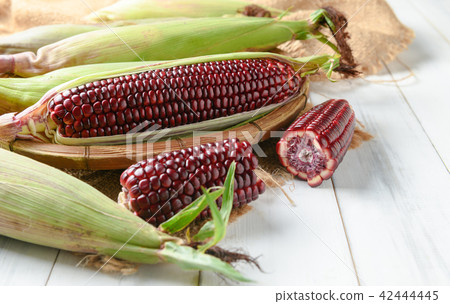 Siam Ruby Queen Corn on wood background 42444445