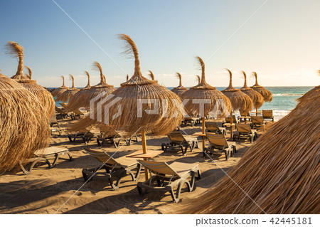 Sun umbrellas Torviscas Beach Sun umbrellas Torviscas Beach 42445181
