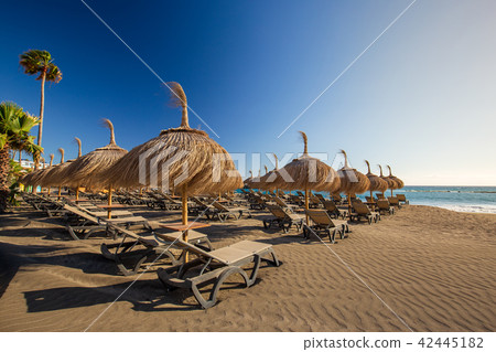 Sun umbrellas Torviscas Beach  42445182