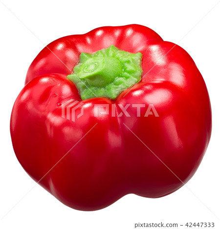 Gogosari pepper, whole ripe pod Gogosari pepper, whole ripe pod 42447333