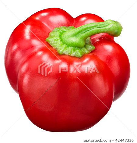 Gogosari pepper, whole ripe pod Gogosari pepper, whole ripe pod 42447336