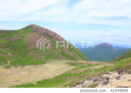 Miyama Kirishima Blooms Kuju Mountains · Inashiyama 42448699