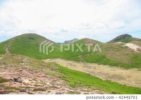 Miyama Kirishima Blooms Kuju Mountains·Inashiyama 42448701