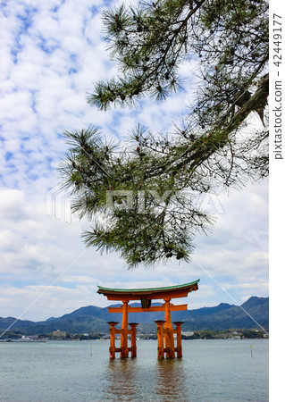 The Floating Torii gate of Itsukushima Shrine The Floating Torii gate of Itsukushima Shrine 42449177