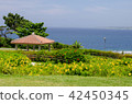 Scenery and bench of marine park 42450345