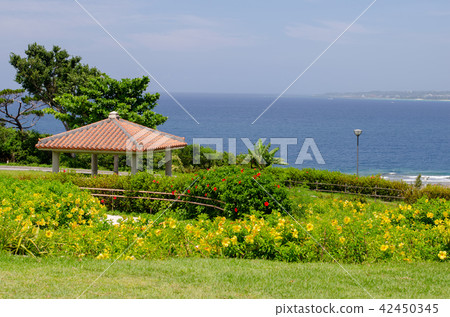 海洋公園風景和長凳 海洋公園風景和長凳 42450345