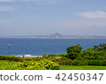 Scenery of marine park 42450347