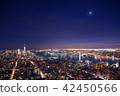 曼哈頓夜視圖 42450566