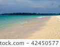 Pictures of sandy beach 42450577