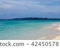 Sandy beach and beach 42450578