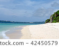 Sandy beaches and beaches and mountains 42450579